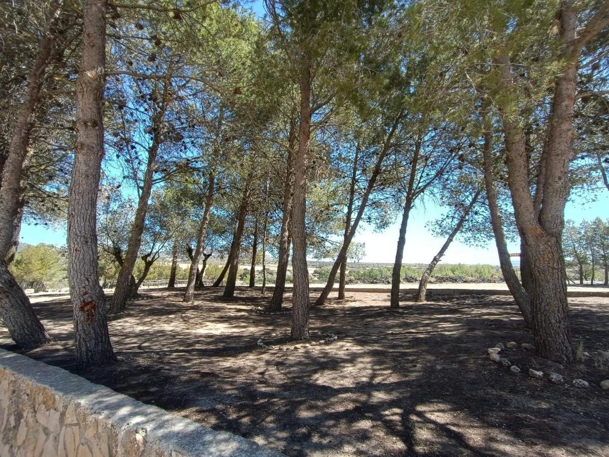 Casas Rurales La Laguna, Alpera Eksteriør billede