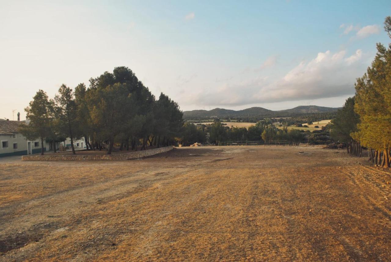 Casas Rurales La Laguna, Alpera Eksteriør billede